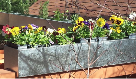 Deck Rail Planter (24", 36", 48") - 36 inch - Anchorline Supply